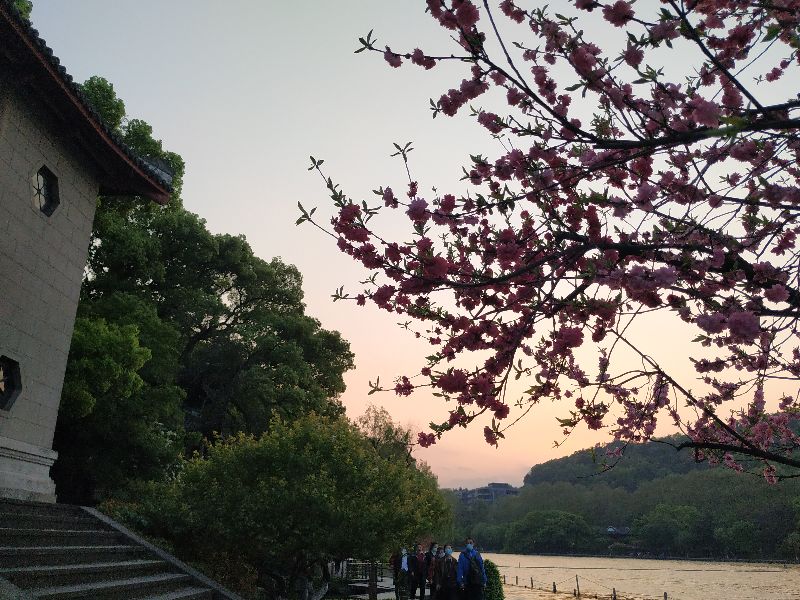 林逋隐居西湖孤山,林逋隐居杭州孤山阅读答案