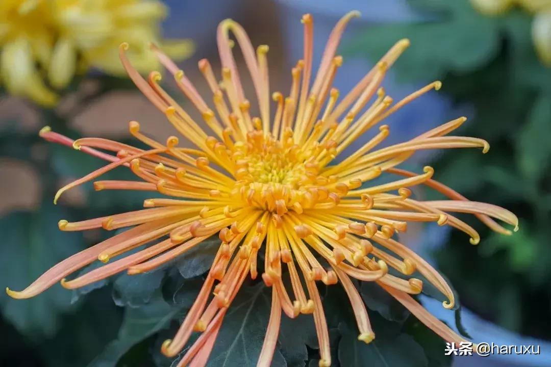 亲子游推荐无锡,无锡亲子游攻略三天两夜