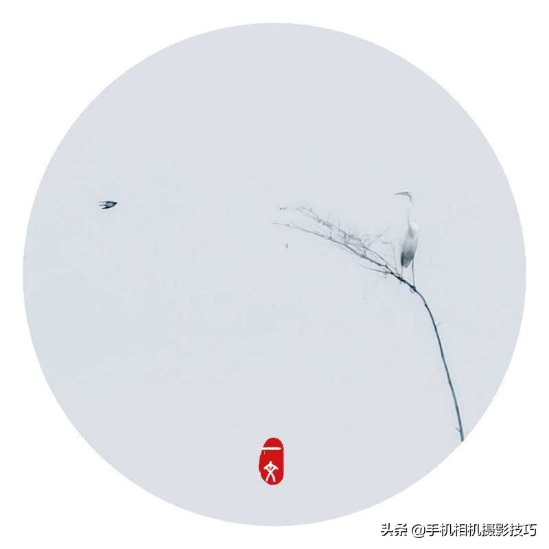 会摄影很酷,会摄影的人真的很酷