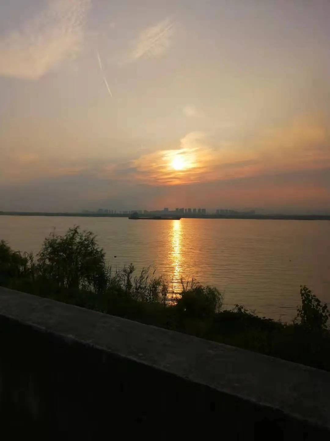 江心洲,一个景色秀丽的夹江岛,岛上的叠加和联排值得买吗?