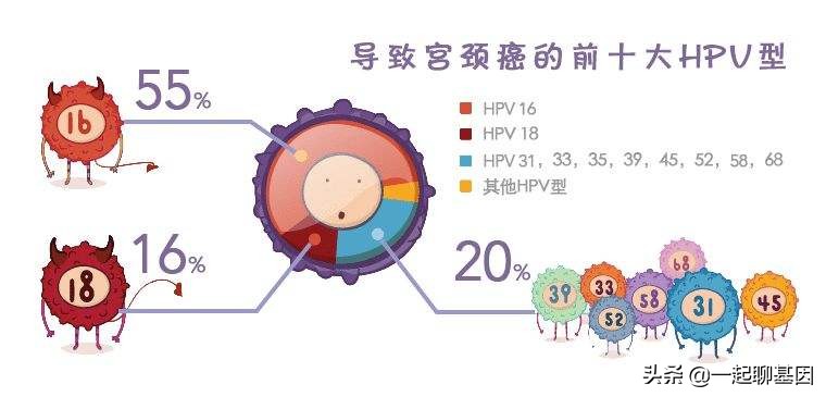 感染人乳头瘤病毒（HPV），就一定会引起宫颈癌吗？