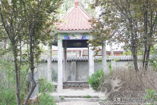 临邑德平是示范镇吗,临邑县德平镇现状