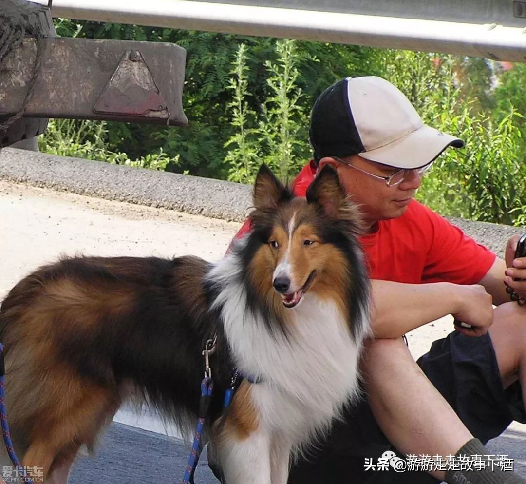 *疆新**自由1：15000公里带狗走全疆（*疆新**全程路书）