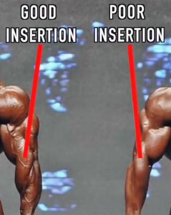 前臂力量不够？只需3个动作，就能练壮前臂，让你的手臂更有型