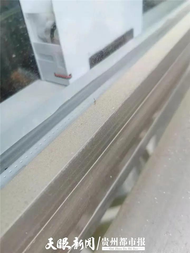 贵阳市黄色粉末,贵阳这几天黄色的粉末是什么