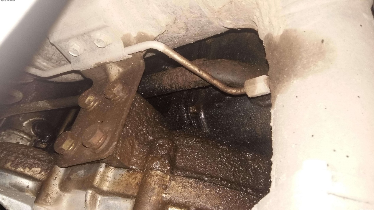 广东福迪汽车还生产吗,福迪汽车公司倒闭了吗