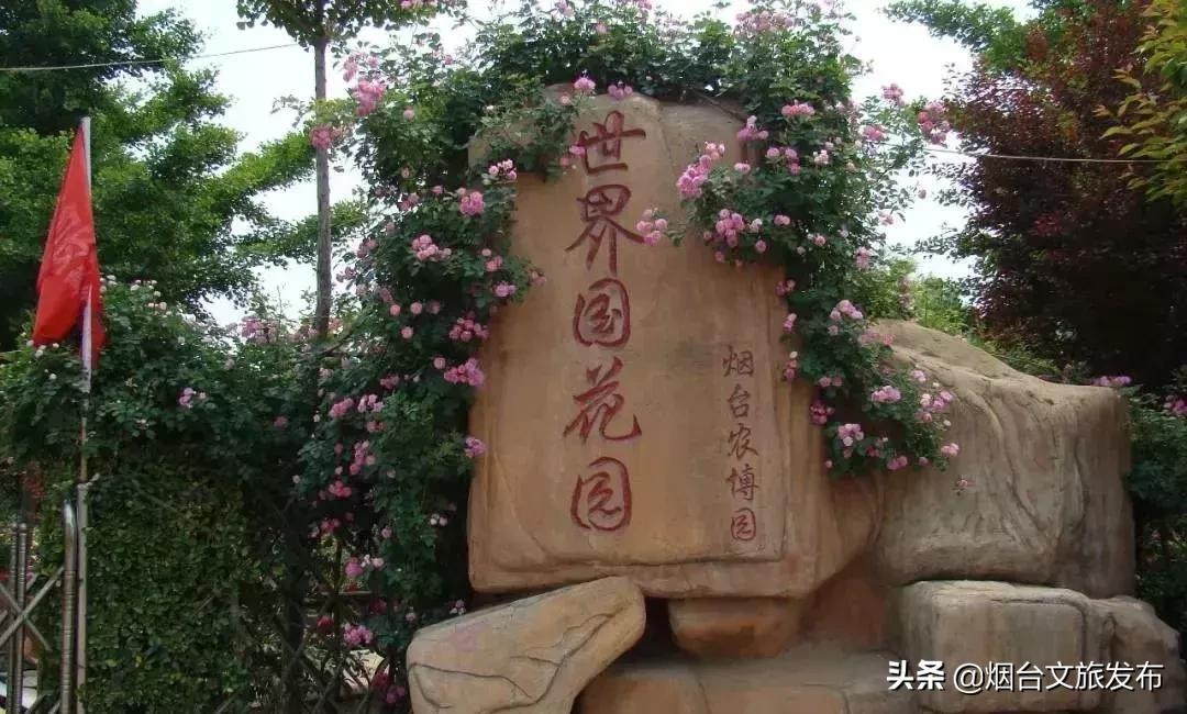 閬囪閱夌編閲戠,閬囪閱夌編閲戠鏂囨梾绯诲垪娲诲姩鍙戝竷