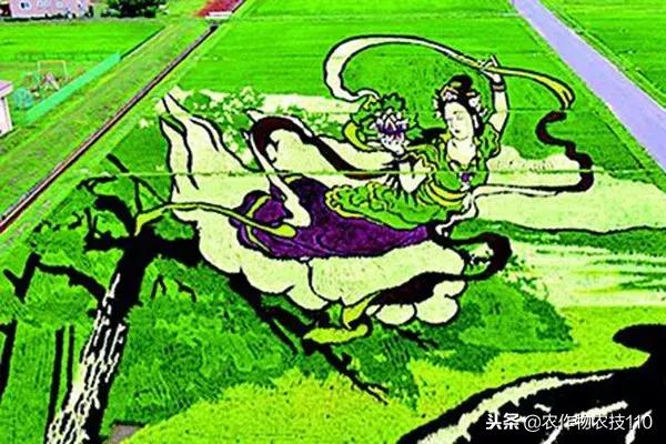 艺术与农业的饕餮盛宴,艺术与农产品结合的创新之处