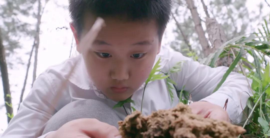 6个中国00后成长纪录片,羡慕他们有如此强大的父母