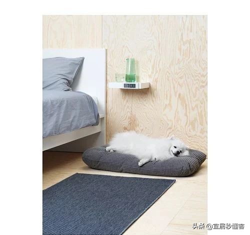 宜家最好用的宠物,宜家中可以给宠物购买的物品