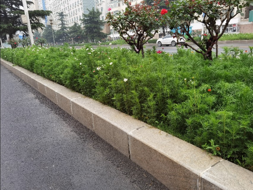 郑州中原区小学介绍,郑州中原区不错的小学