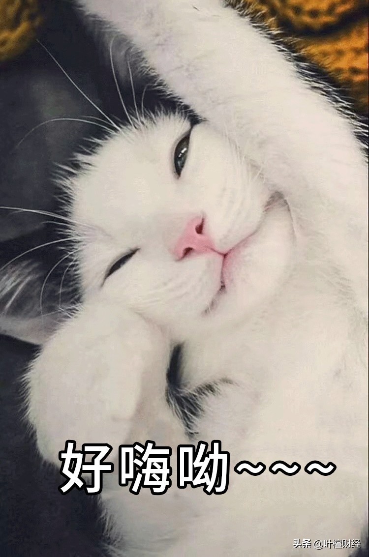 叶檀股市,叶檀谈茅台股市