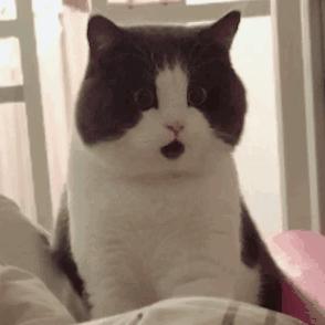 新衣服上真的有致癌物质吗,新衣服有甲醛怎么消除