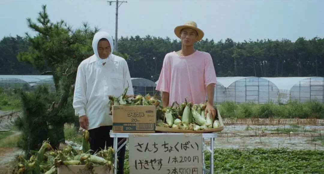 最喜欢的电影菊次郎的夏天,夏日必看的电影菊次郎的夏天