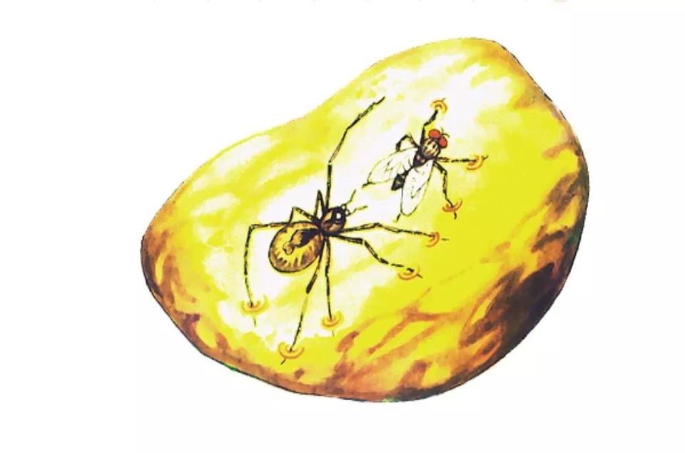 不愧是后浪,提高生活品质的小玩意,小孩却用它DIY出一堆......