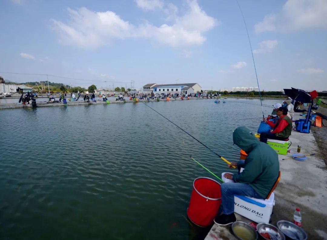 钓鲈鱼的方法和技巧台钓,台钓技巧大全介绍