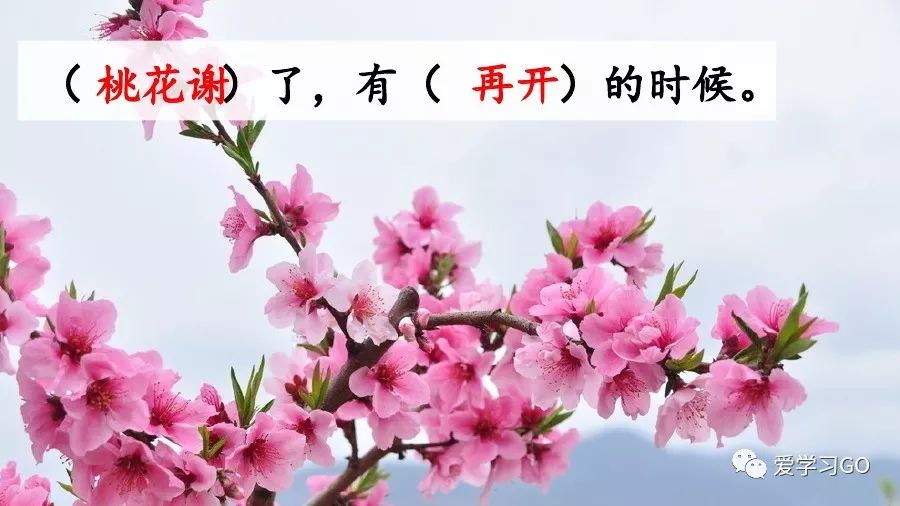 部编版小学语文六年级下册第8课《匆匆》图文讲解+知识要点