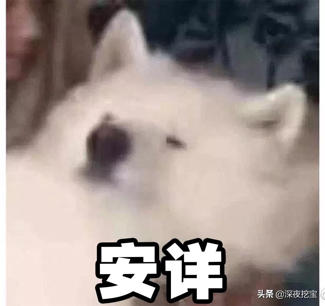 防晒推荐超强防晒晒不黑,每天被太阳晒怎么防晒不会黑