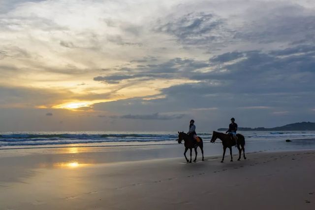 明星最喜欢的青岛酒店,明星最喜欢去的三亚酒店
