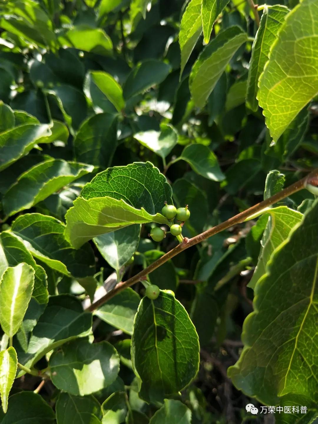 跟我回家在线免费看,跟我回家免费看