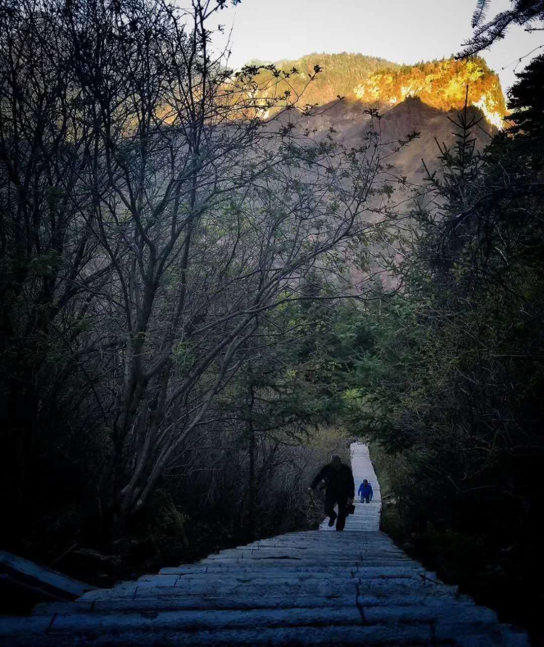 莲花山上莲花寺,莲花山普宁山顶