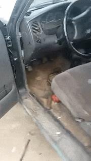 只能亮度调亮才能看得懂的梗,调高亮度才能看懂的梗