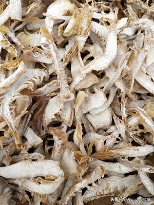 野生小竹笋笋干制作全过程,新鲜毛笋怎么做毛笋干