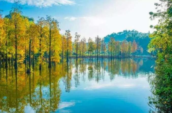 惠州别墅度假性价比最高,惠州别墅整栋度假推荐