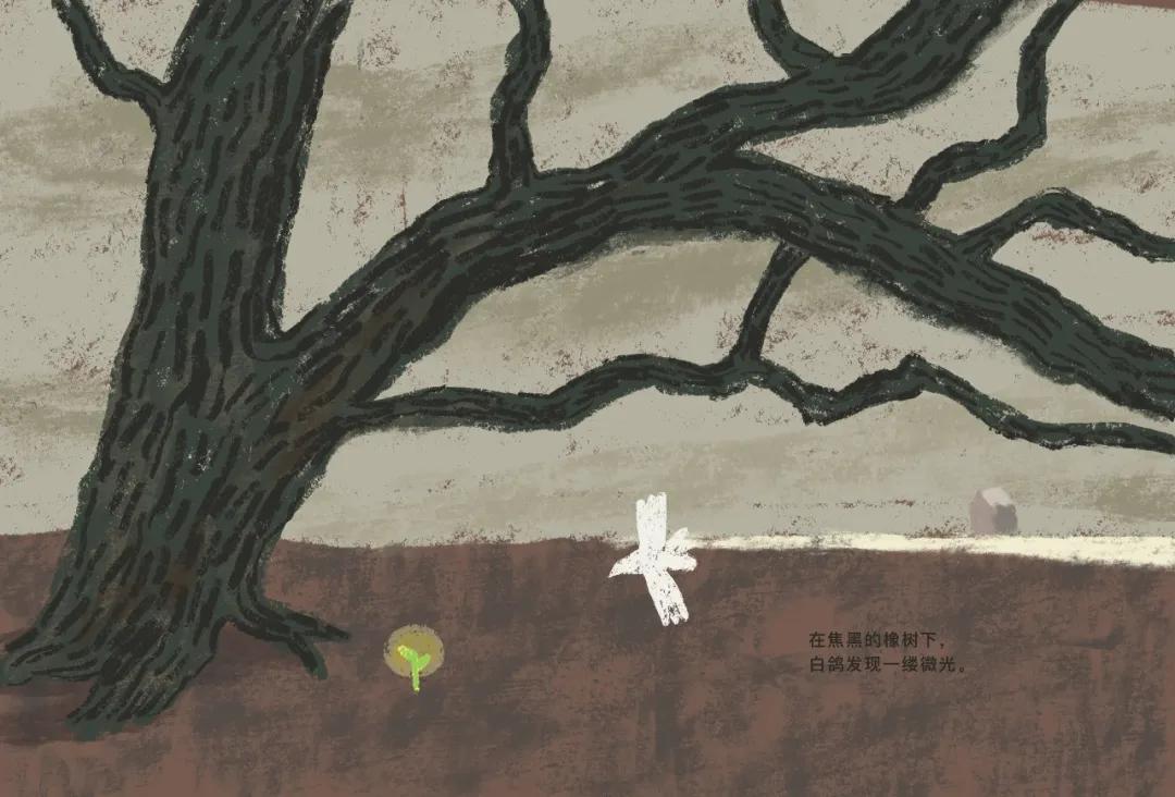 东方娃娃原创绘本奖公众号,儿童原创绘本巡回展