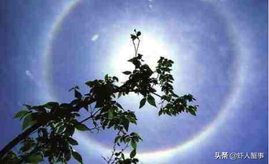 南美白对虾池塘急性倒藻如何处理,池塘倒藻引起氨氮升高怎么处理