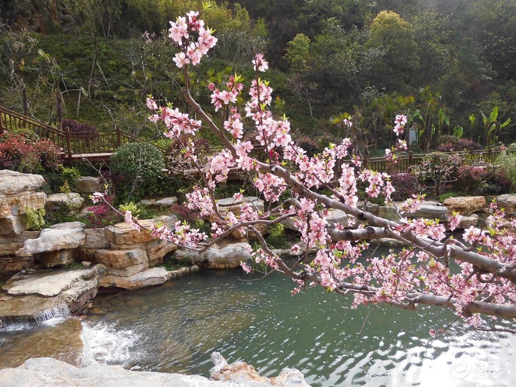 长沙公园旅游攻略必去景点,长沙生态公园园内游玩攻略