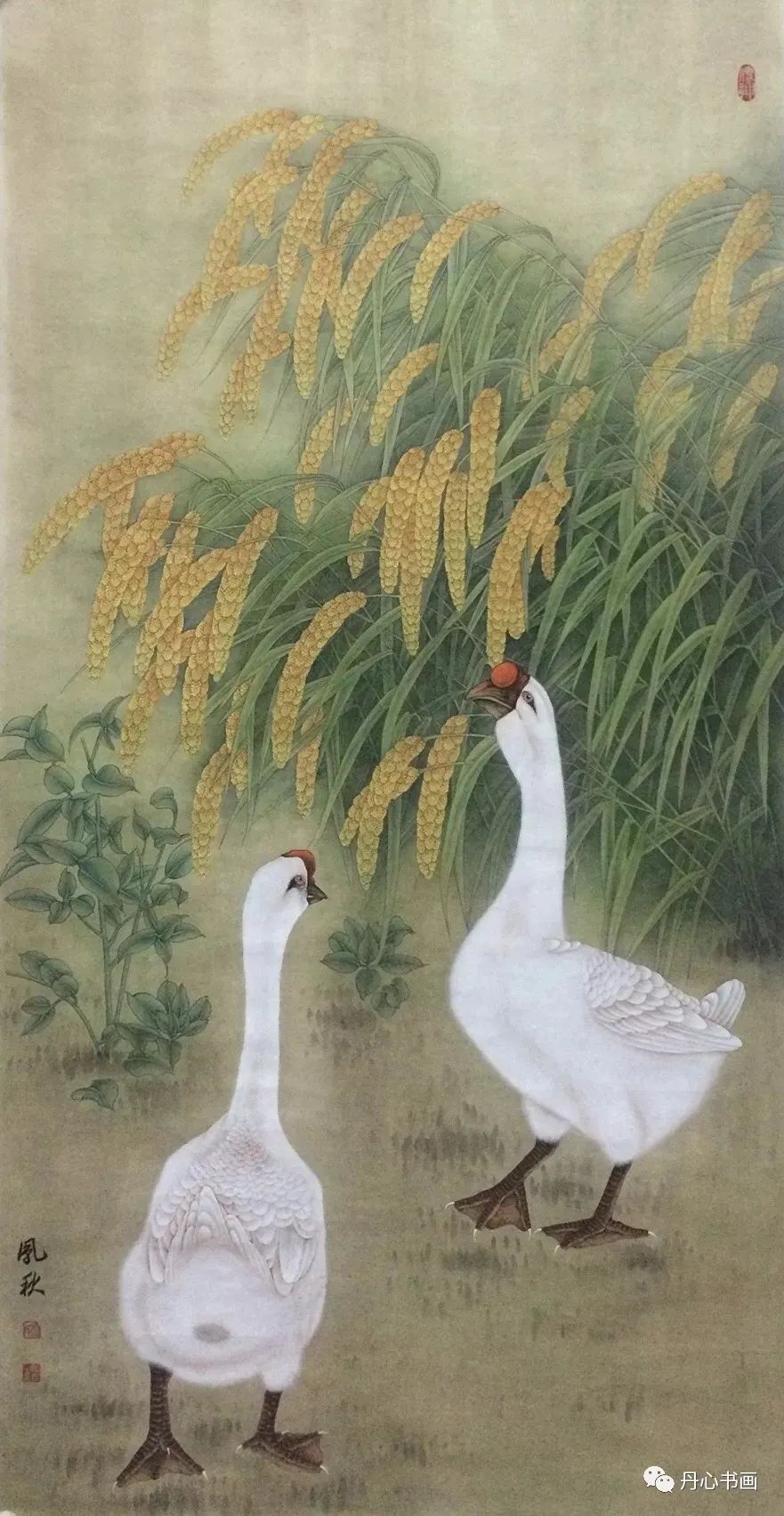 清新恬雅,意趣隽永|工笔画家徐凤秋