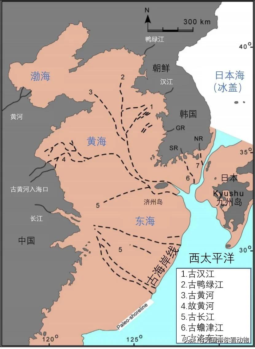 金日成爱吃的它,居然已经在国内绝迹?