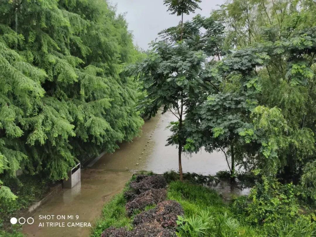 这六个月，仙桃过得怎么样？