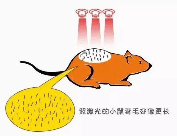 有了这个神器,英国人的脱发有救了?