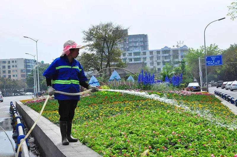 双流区绿化景观,双流县景观花园设计