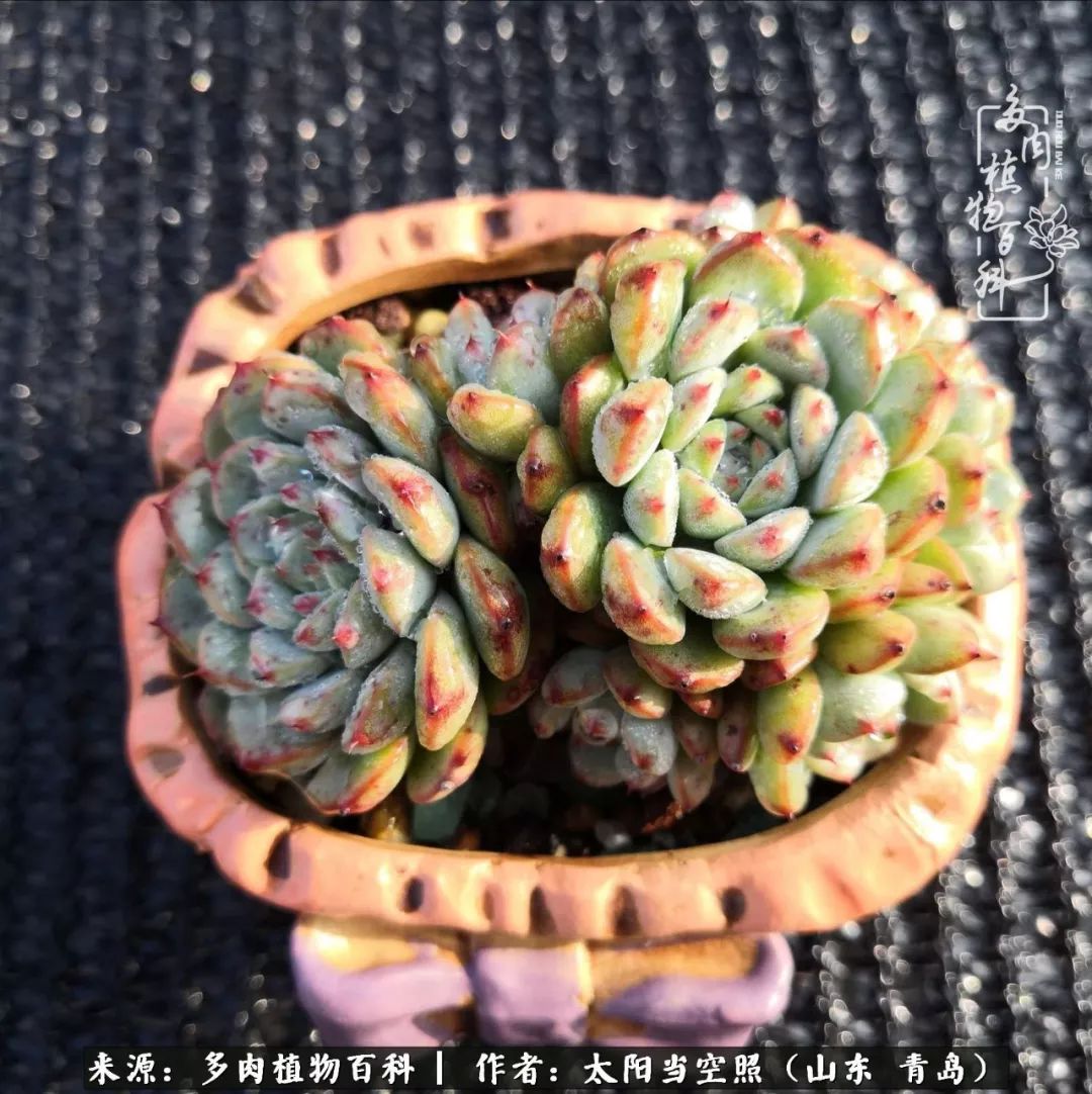 离家在外才发现最难忘的是故乡情,离家在外看见家乡的东西