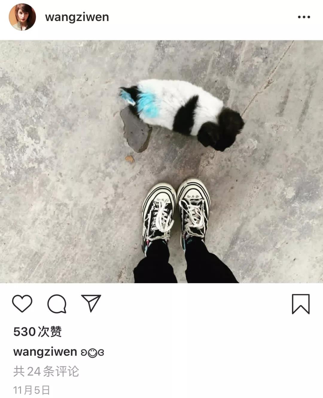 她今天为踩高铁小桌板道歉后，这双“小雏菊”也被实锤假货了