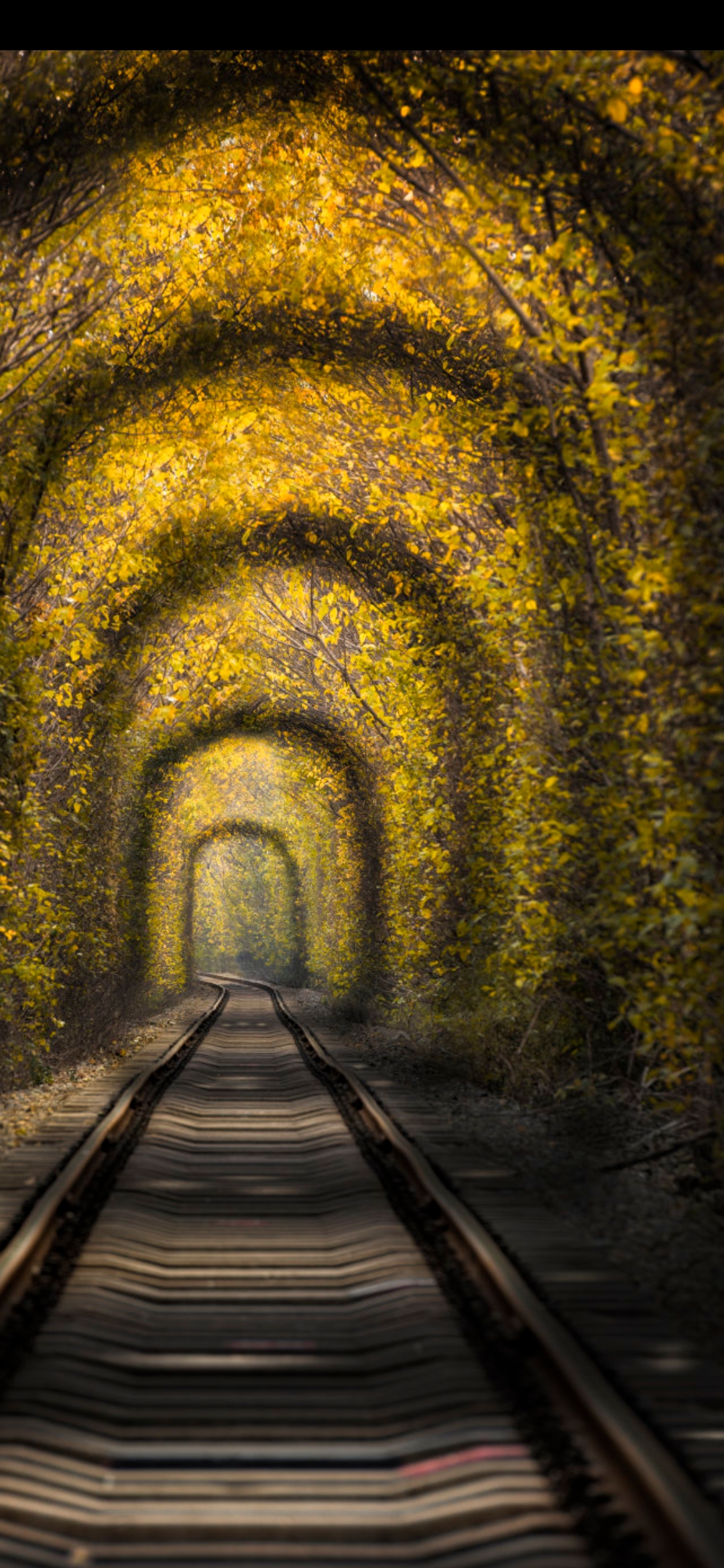 霸王举鼎到底有多强,霸王举鼎楚汉骄雄解说