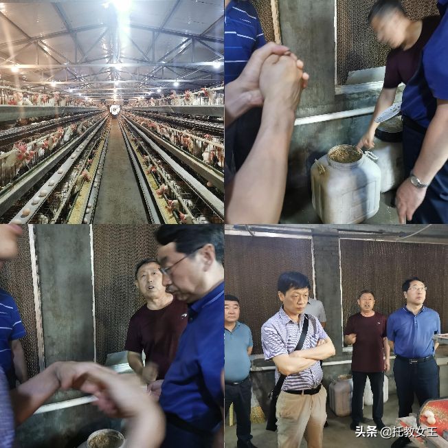 陕西益能生物科技有限公司,乳酸菌生态养殖基地