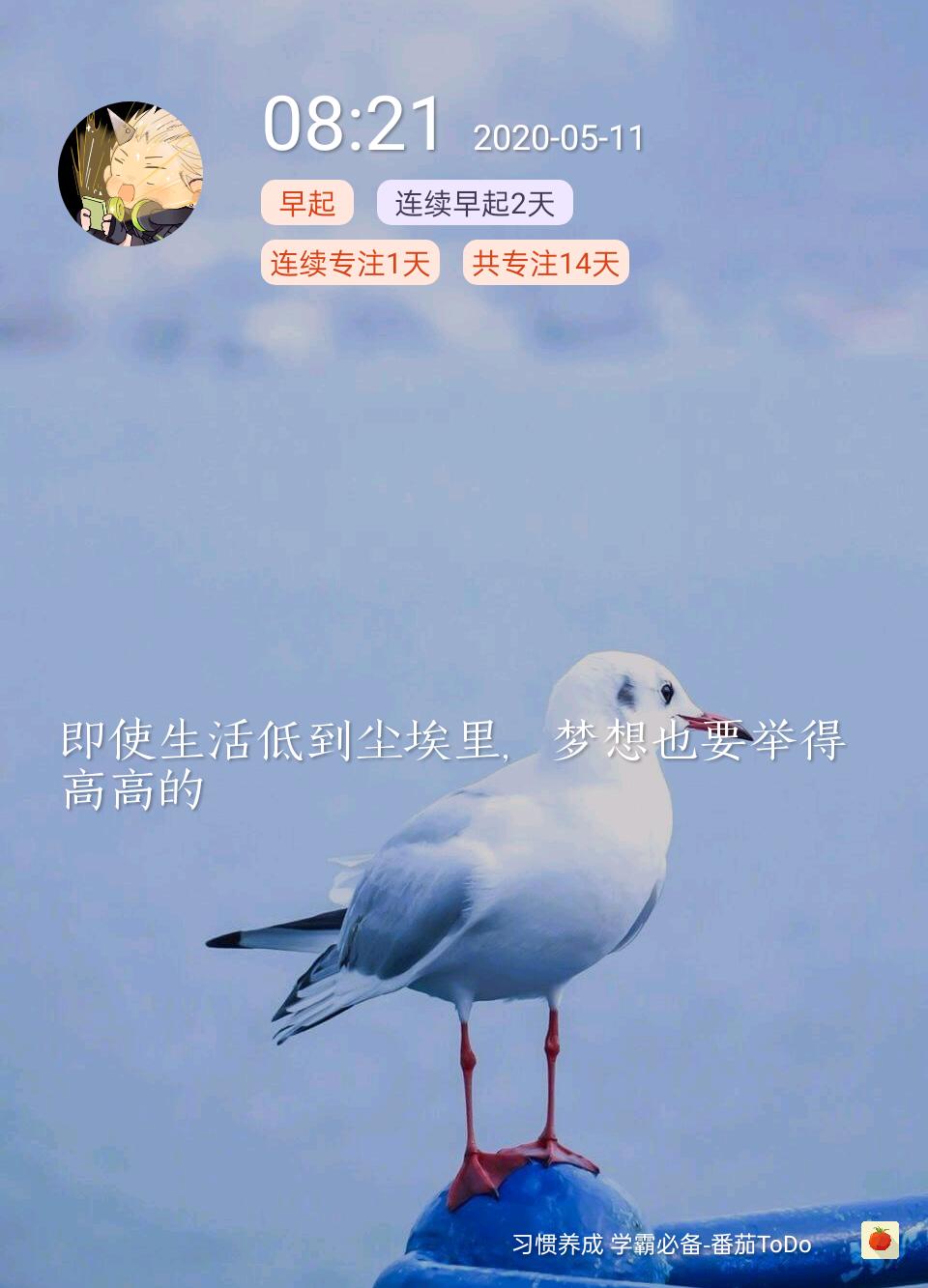 vlog鏂囧瓧澶у皬,鏂囧瓧澶氱殑vlog瑙嗛