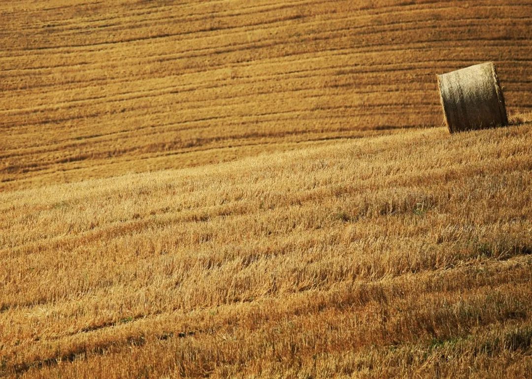 意大利最好的葡萄酒小镇,世界著名的葡萄酒小镇