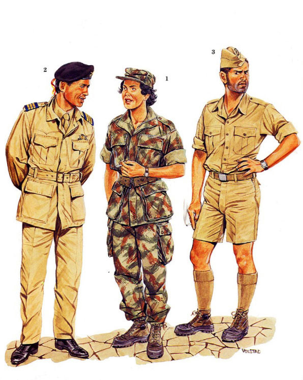 非洲解放战争，葡萄牙、安哥拉和莫桑比克军服图册