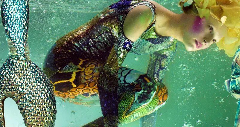 麦昆亚历山大设计师,亚历山大麦昆的设计师