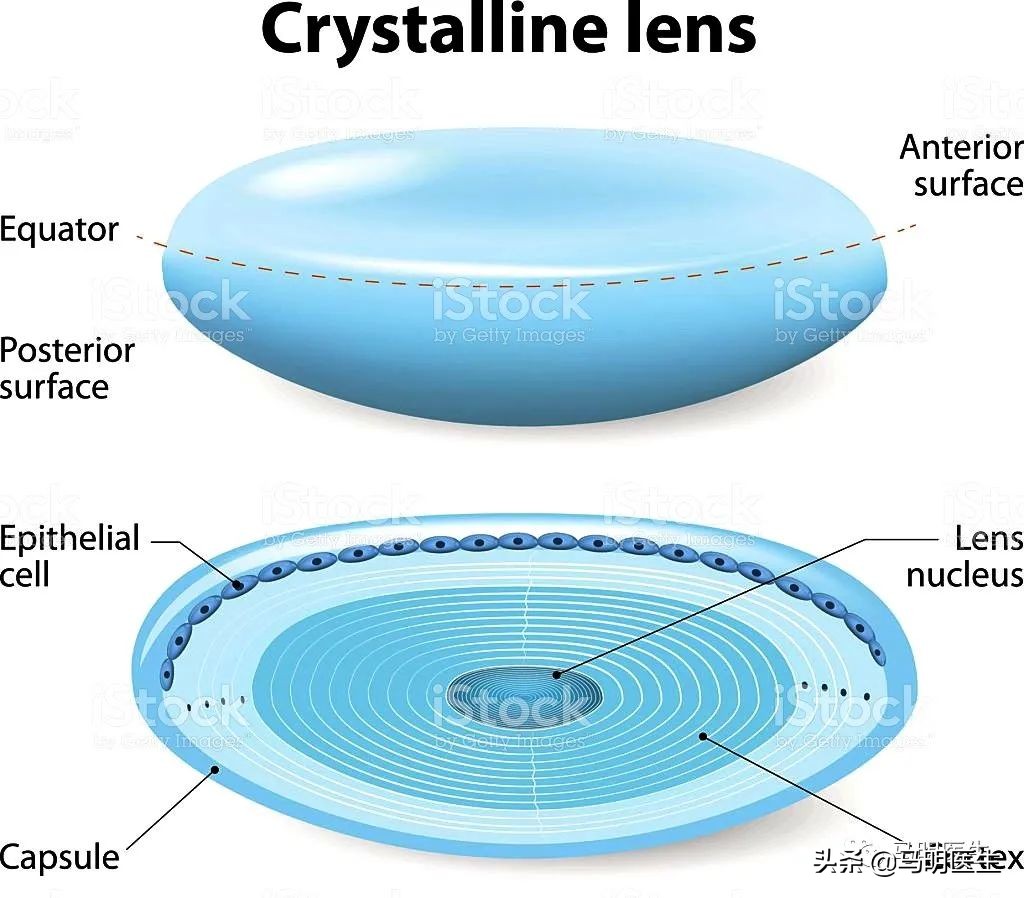 眼光学训练法,眼光学是什么