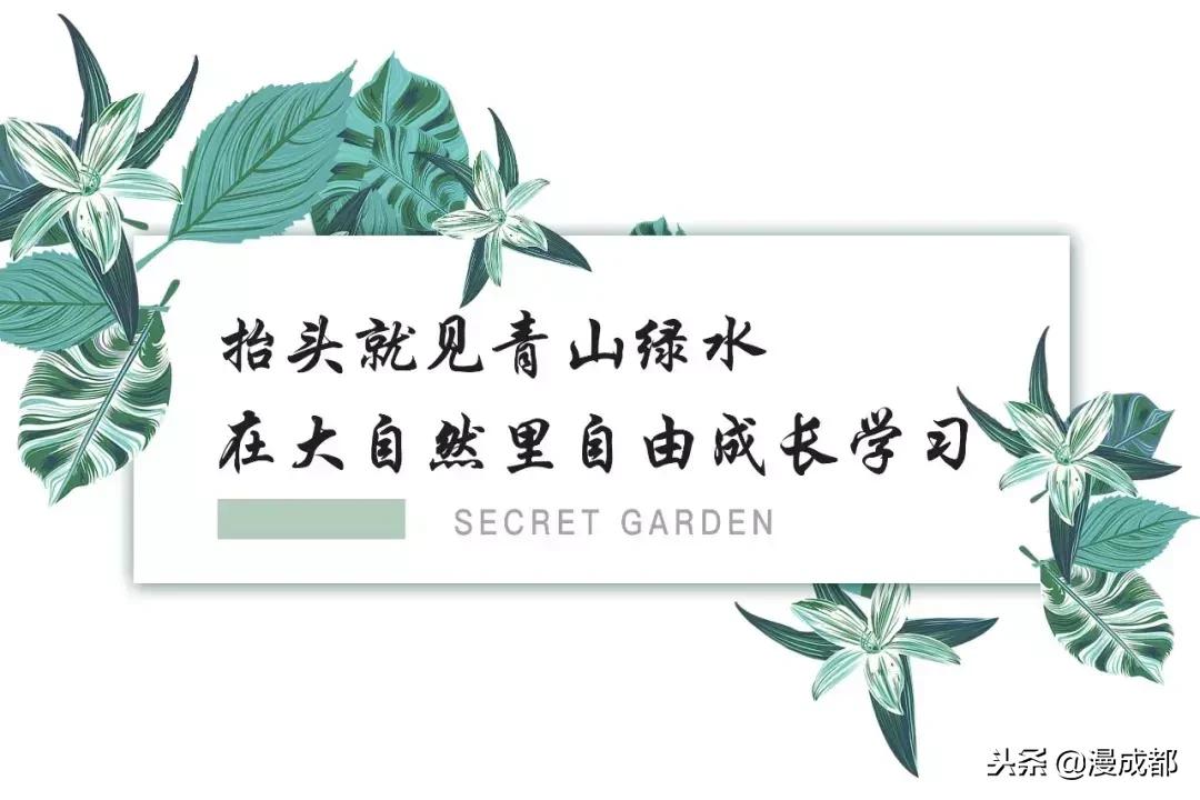 成都最美的校园,成都最美的大学校园