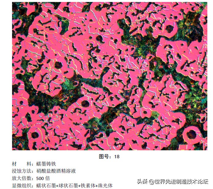 奥氏体珠光体,马氏体奥氏体珠光体