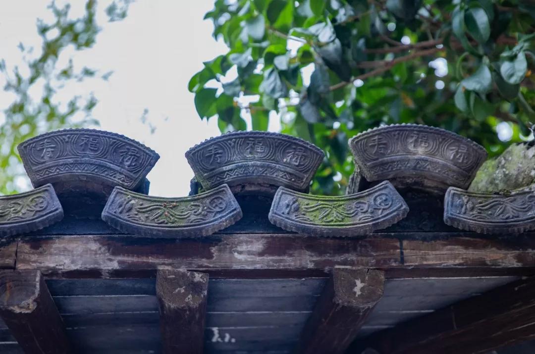 南京腊梅最佳观赏时间,南京赏梅花景点推荐