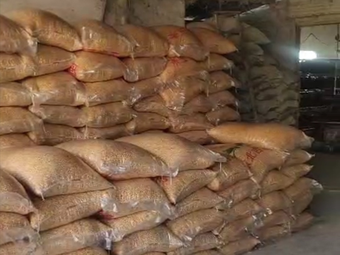 夏季猪食欲下降的原因该如何解决,猪食欲差是怎么回事