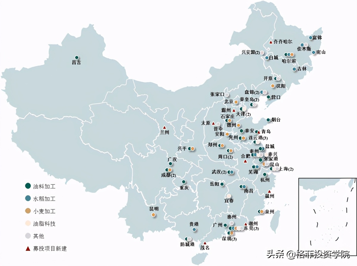 金龙鱼投资价值分析pdf,金龙鱼投资深度分析